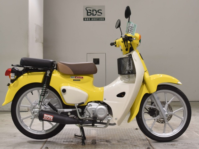 Honda SUPER CUB110 2022