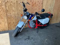 Honda FTR223 2000