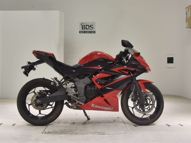 Kawasaki NINJA250 2015