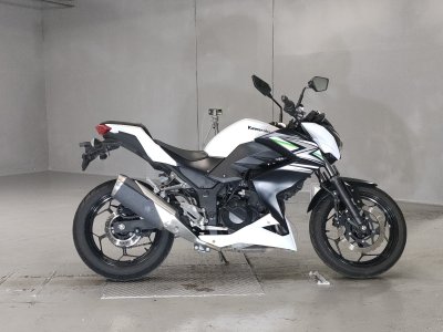 Kawasaki Z250 2014