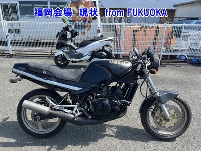 Yamaha RZ250R 1986