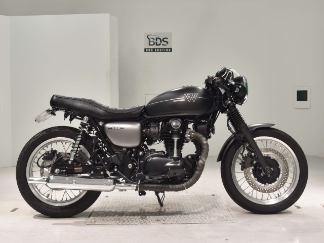 Kawasaki W800 2019