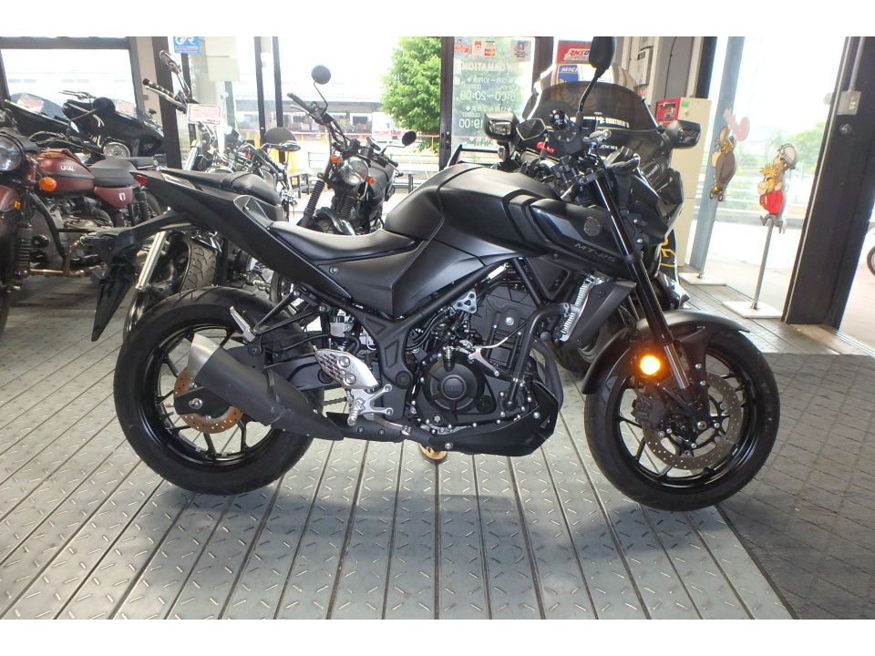 Yamaha MT-25 2022