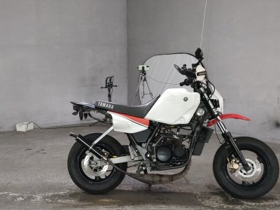 Yamaha TDR50 1988
