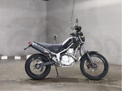 Yamaha TRICKER 2004