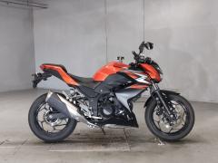 Kawasaki Z250 2014