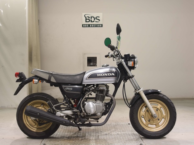Honda APE100 2008