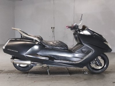 Yamaha MAGZAM 2007