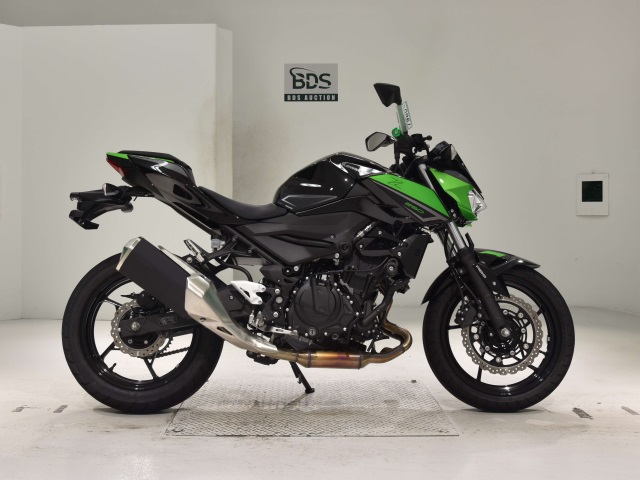 Kawasaki Z250 2023