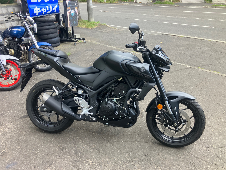 Yamaha MT-25 2022