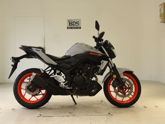 Yamaha MT-25 2019
