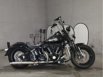 HD CROSS BONES FLSTSB1580 2011