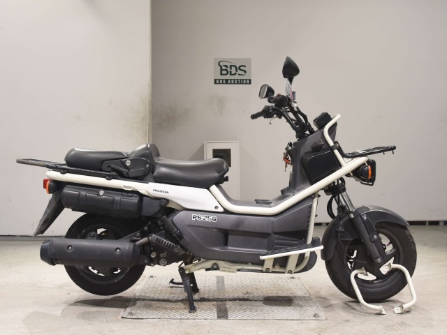 Honda PS250 BIG RUCKUS 2004