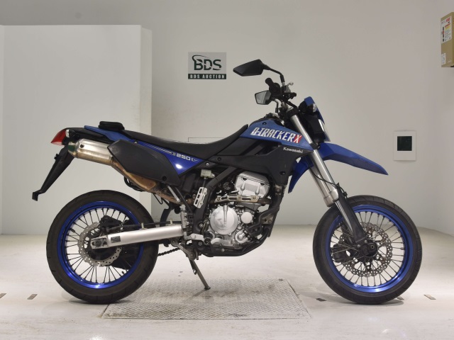 Kawasaki D-TRACKER250X 2008