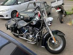 HD HERITAGE SPECIAL FLSTN 2006