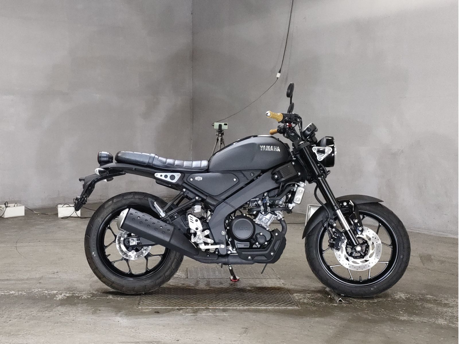 Yamaha XSR155 2022