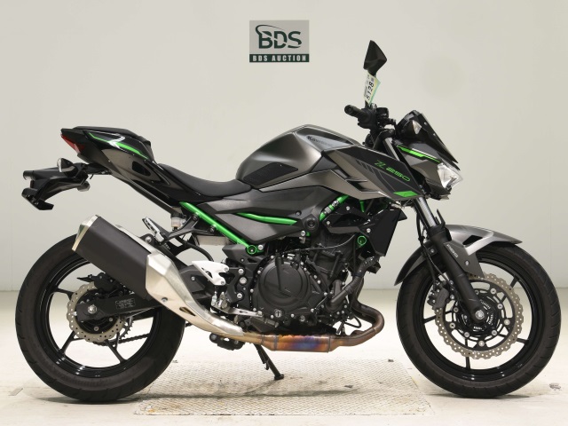 Kawasaki Z250 2024