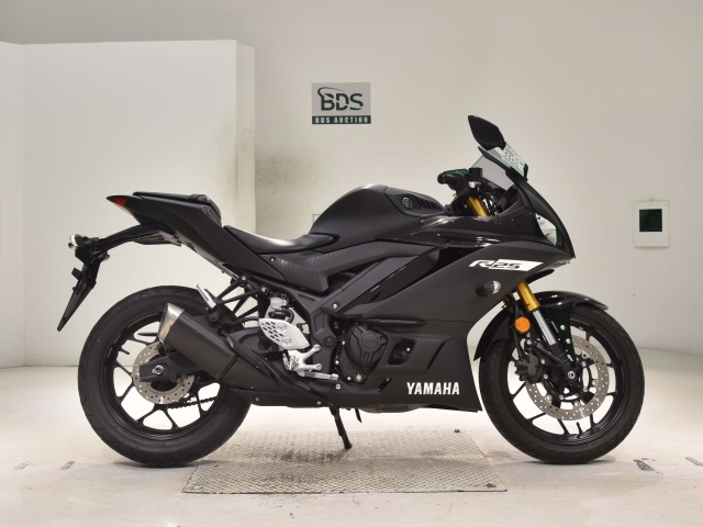 Yamaha YZF-R25 2019