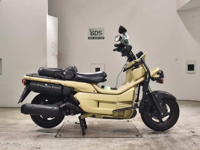 Honda PS250 BIG RUCKUS 2006