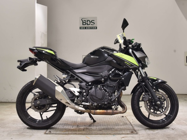 Kawasaki Z250 2022