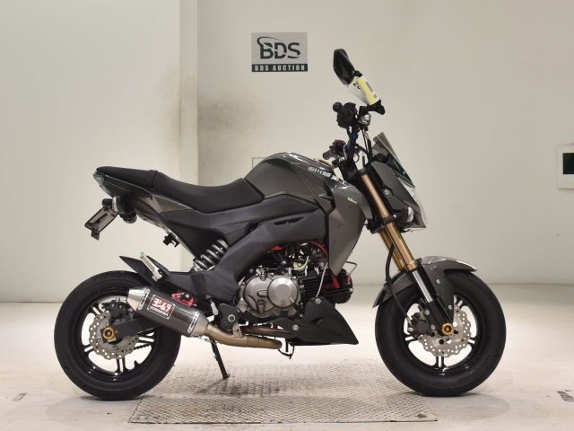 Kawasaki Z125 PRO 2017