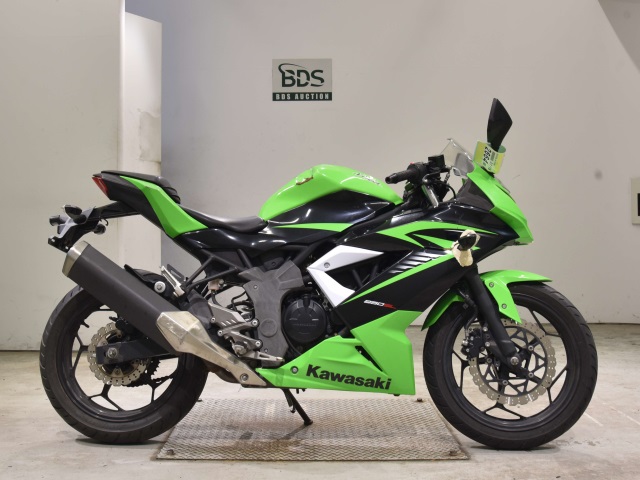 Kawasaki NINJA250 2015