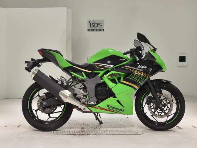 Kawasaki NINJA250 2020