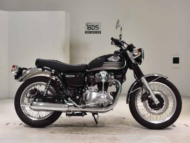 Kawasaki W800 2025