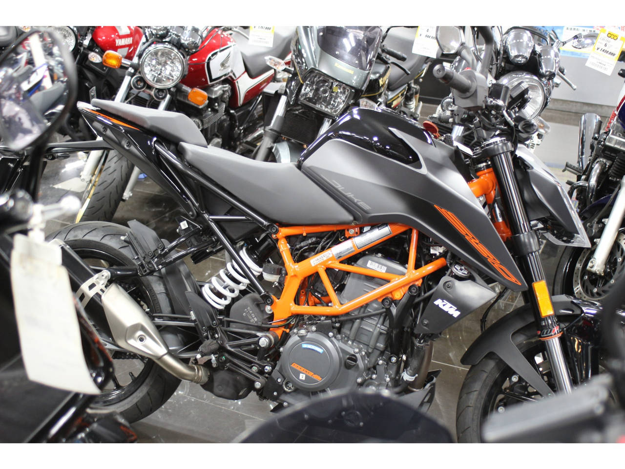 KTM 390 DUKE 2024