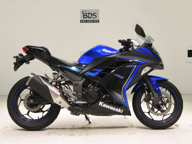 Kawasaki NINJA250 2015