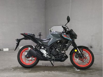 Yamaha MT-25 2021