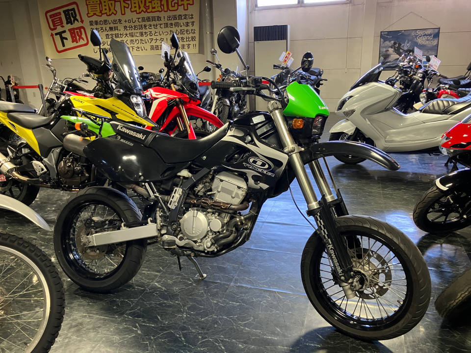 Kawasaki D-TRACKER250 2002