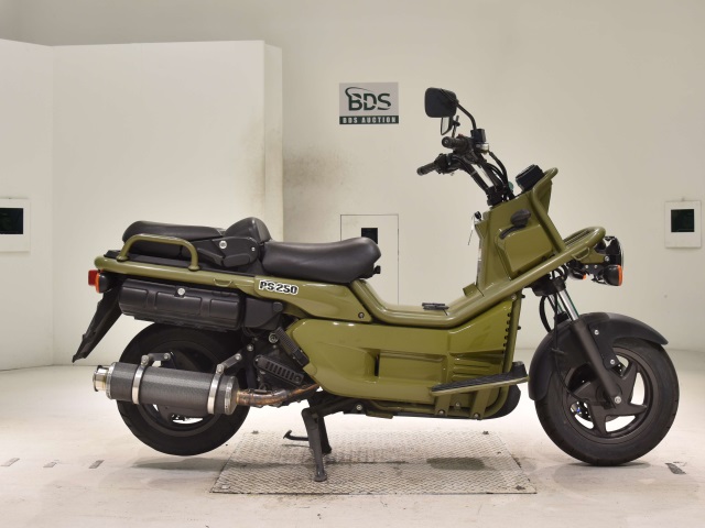 Honda PS250 BIG RUCKUS 2006