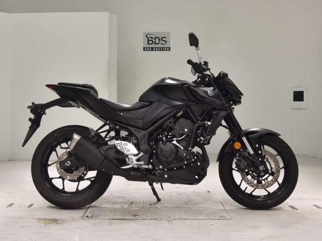 Yamaha MT-25 2022