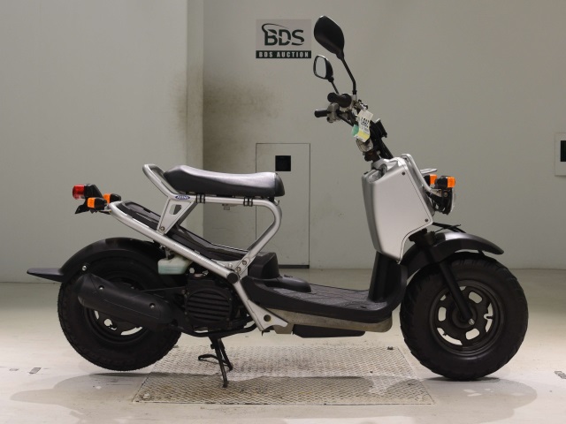 Honda ZOOMER 2009