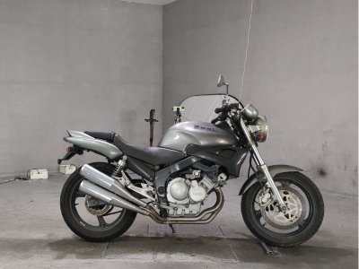 Yamaha ZEAL FZX250 1992