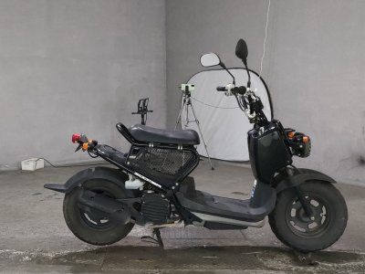 Honda ZOOMER 2011