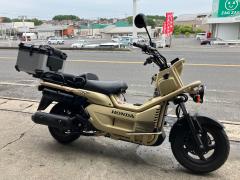 Honda PS250 BIG RUCKUS 2006