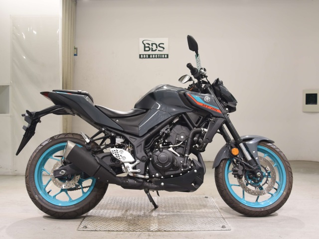 Yamaha MT-25 2022