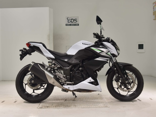 Kawasaki Z250 2014