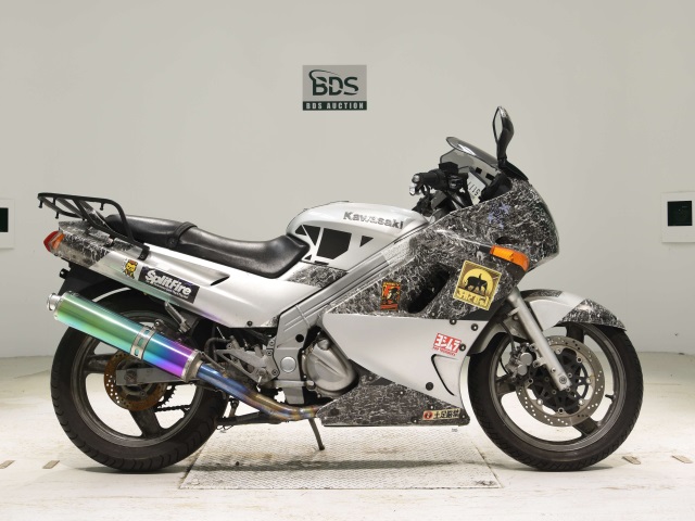 Kawasaki ZZ-R250 2002