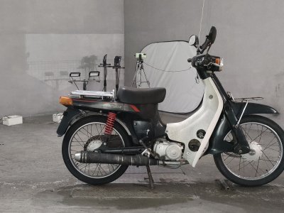 Suzuki BIRDIE50