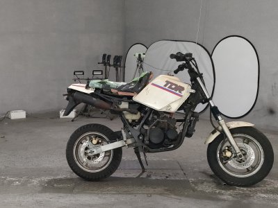 Yamaha TDR50 1988