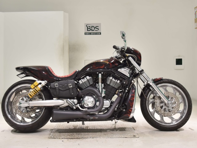 HD Night Rod 1250 SP 2009