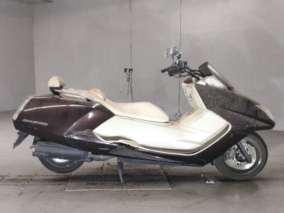 Yamaha MAGZAM 2007
