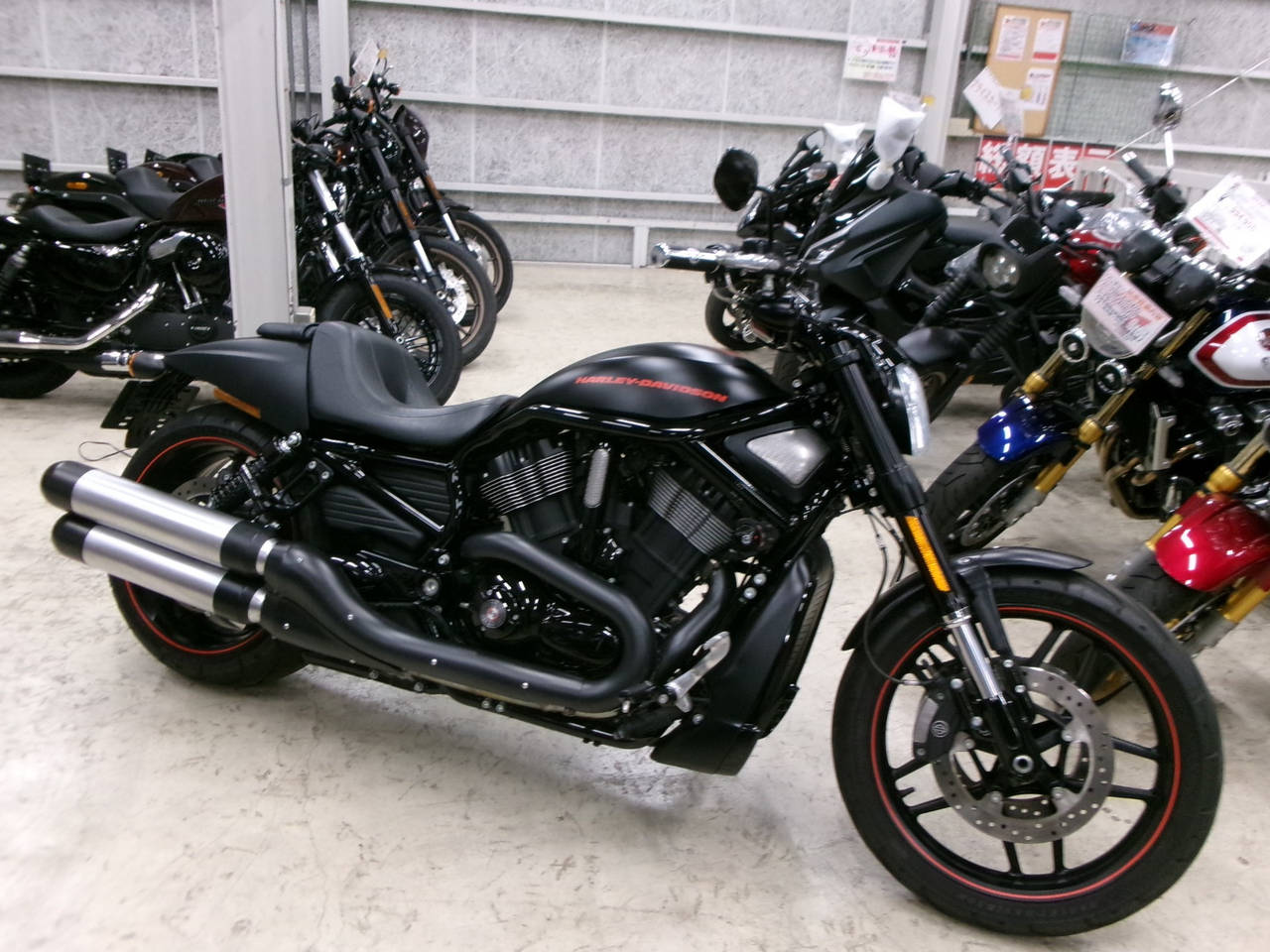 HD NIGHT ROD VRSCDX1250 2016