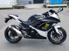 Kawasaki NINJA250 2013