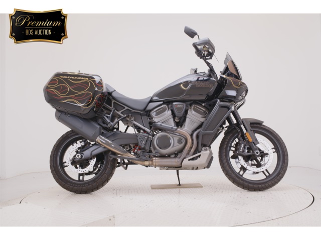 HD PAN AMERICA1250 S 2022