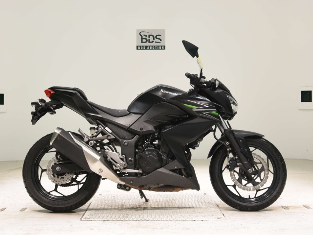 Kawasaki Z250 2013