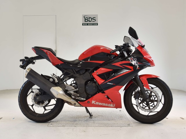 Kawasaki NINJA250 2015